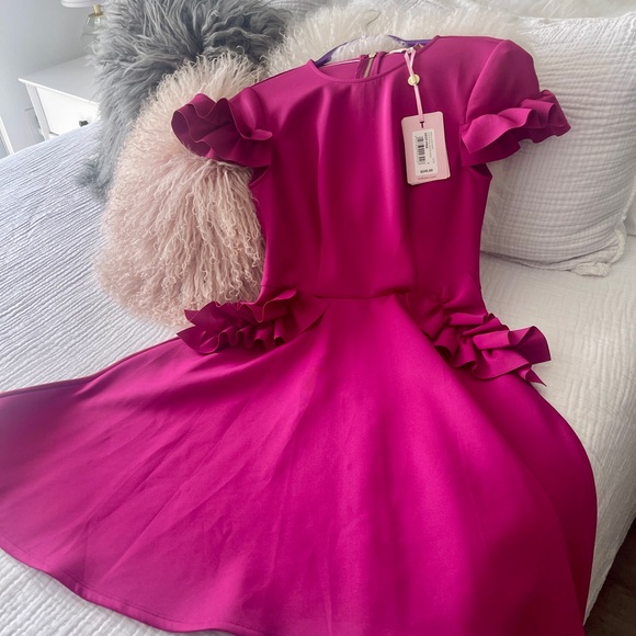 Ted Baker Magenta Ruffle Skater Formal Dress - Picture 2 of 7